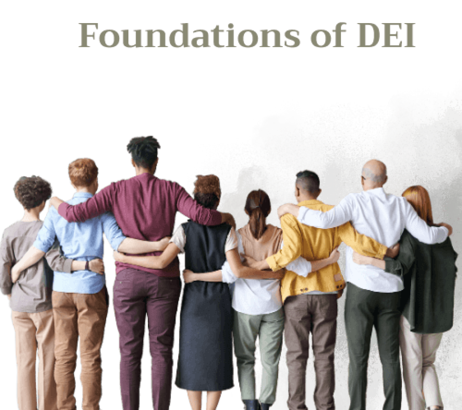 foundations of DEI