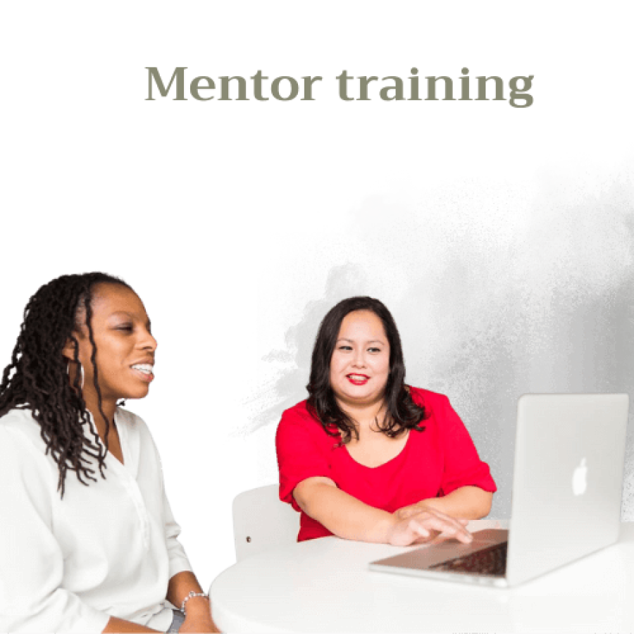 mentor training